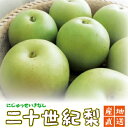 【遊月亭 公式】二十世紀梨【1箱3kg】常温便 同梱不可 にじゅっせいき 産地直送 フルーツ 果物 梨 和梨 nashi