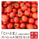 【遊月亭 公式】こいとま【1箱】同梱不可 トマト 兵庫県養父市 産地直送 高糖度