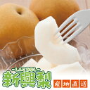 【遊月亭 公式】新興梨【1箱3kg】常温便 同梱不可 しんこうなし 産地直送 フルーツ 果物 梨 和梨 nashi