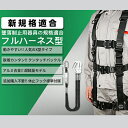 ★最安挑戦10980→7900★ あす楽 【産業安全技術協会 認証取得 収納袋付 送料無料】フルハーネス セット ハーネス安全帯 安全帯 新規格適合 墜落制止用器具 ランヤード 一体型セット 黒蛇腹 ワンタッチバックルダブルランヤード付き 軽量モデル 使用可能質量 100kg 3