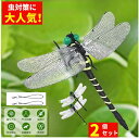 「着後レビューで特典」 【2個セット!】2024年新登録 虫除けトンボ君 虫除けグッズ 害虫天敵 虫よけ対策 ストラップ 超リアル 本物みたい 耐久性強化 人・動物のプラモデル・模型 動物フィギュア アウトドア 野外釣り キャンプ ゴルフ ガーデニング 除草 野外調査対応