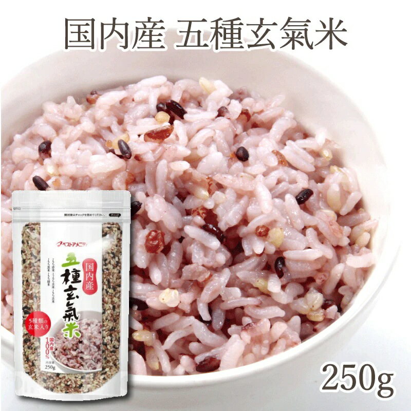五種玄氣米 250g 国内産