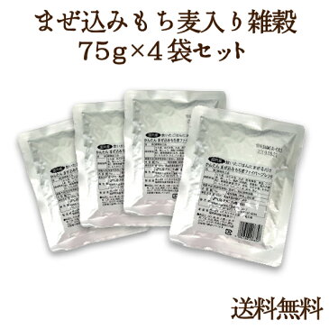 かんたんまぜ込みもち麦ファイバーブレンド75g×4袋セット 炊いたご飯に入れるだけ 食物繊維豊富 もちもち ぷちぷち 送料無料 アレンジ無限大 レシピたくさん こだわり テレビで話題 国産 健康 ベータグルカン 水溶性食物繊維 オリジナルブレンド ベストアメニティ メーカー