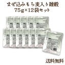 かんたんまぜ込みもち麦ファイバーブレンド75g×12袋セット 炊いたご飯に入れるだけ 食物繊維豊富 もちもち ぷちぷち 送料無料 アレンジ無限大 レシピたくさん こだわり テレビで話題 国産 健康 ベータグルカン 水溶性食物繊維 オリジナル ベストアメニティ メーカー