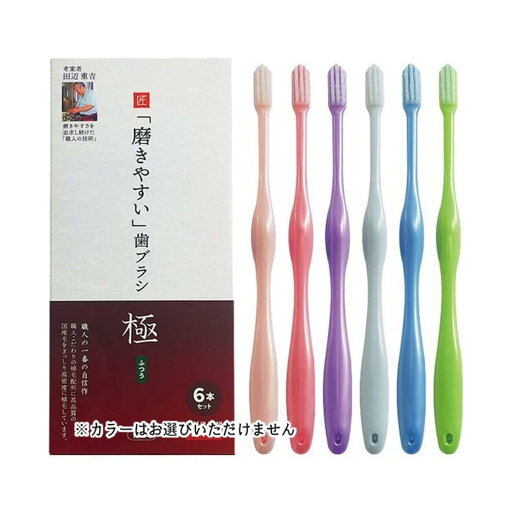 磨きやすい歯ブラシ 極 ふつう 先細毛 6本セット LT-53 磨きやすい歯ブラシ 極 ふつう 先細毛 6本セット LT-53