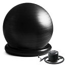 La-VIE(ラヴィ) 姿勢よしお リング付きジムボール 65cmブラック 空気入れ付きバランスボール椅子 3B-3123 【純正品】