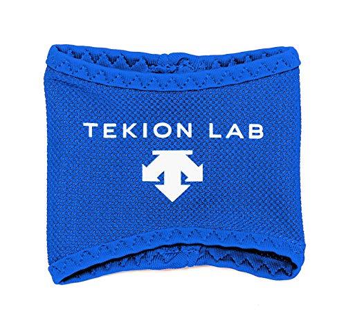 DESCENTE(デサント) 暑熱対策用グローブ 両手用 適温蓄冷材付き コアクーラー ブルー フリーサイズ DAT-9000