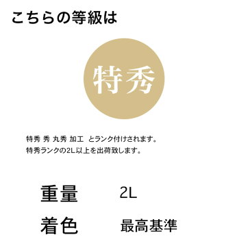 長野県産/山形県産 佐藤錦 ジュエリーBOX 特秀2L 20粒入 【送料無料】 さくらんぼ 佐藤錦 ジュエリーボックス 特秀 2L 山形県 長野県 20粒 贈答用 甘い 品種 糖度 高級 最高ランク 完熟 女性 男性 誕生日プレゼント 内祝い フルーツ 詰め合わせ 母の日 父の日