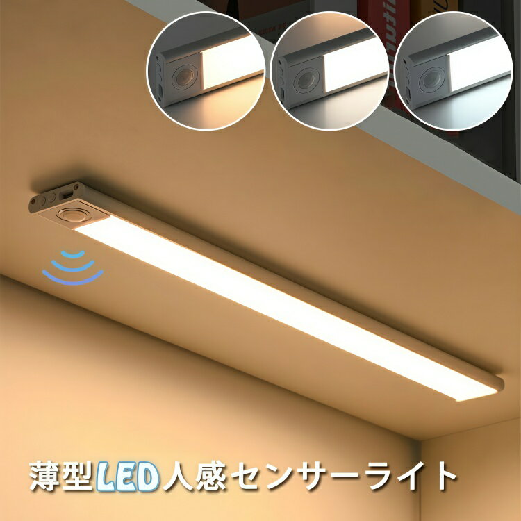 ʹ󥵡饤 LED󥵡饤 20cm   Ĵ ʹ󥵡 LED饤 ­ С饤   ɳݤ   ...