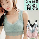 【20%OFFクーポン有】ナイトブラ 育乳ブラ 見せブラ ノンワイヤー レース 4色 フリーサイズ ブラ 可愛い エロカワ セクシー ナイトブラ バストアップ ...