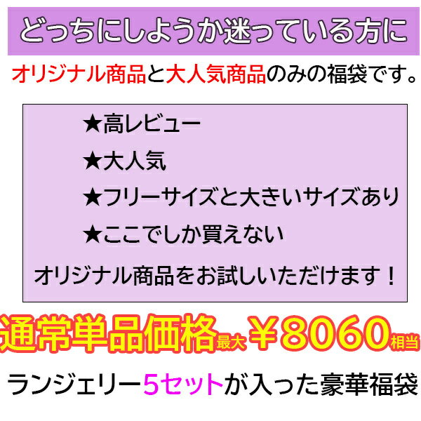 【1280円OFFクーポン有】【20％OFF】人気商品のみ 上下セット 2024福袋 ブラセット 福袋 セクシーランジェリー 福袋 大きいサイズ 福袋 レディース 大きいサイズ 福袋 ショーツ 5着 セットセクシ- ランジェリー 穴あき下着 紐パン 上下セット 人気商品 人気 オリジナル商品 3