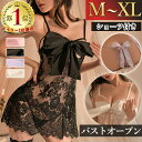 【1280円OFFクーポン有】【20％OFF】ベビードール セクシーランジェリー 超過激 オープンブラ セクシー ランジェリー 下着 レディース ..