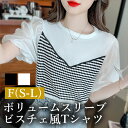 【新規向け10%OFFクーポン有】Tシャツ 半袖 かわいい レディース トップス tops ビスチェ風 シンプル 無地 コンパクト インナー デイリー オフィス 春 夏 秋 韓国ファッション カットソー 大人 M L Uネック Vネック ベーシック レース ボーダー OL 通勤