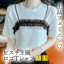 【新規向け10%OFFクーポン有】Tシャツ 半袖 かわいい レディース トップス tops ビスチェ風 シンプル ロゴ 無地 コンパクト インナー デイリー オフィス 春 夏 秋 韓国ファッション カットソー 大人 M L Uネック Vネック ベーシック レース ボーダー OL