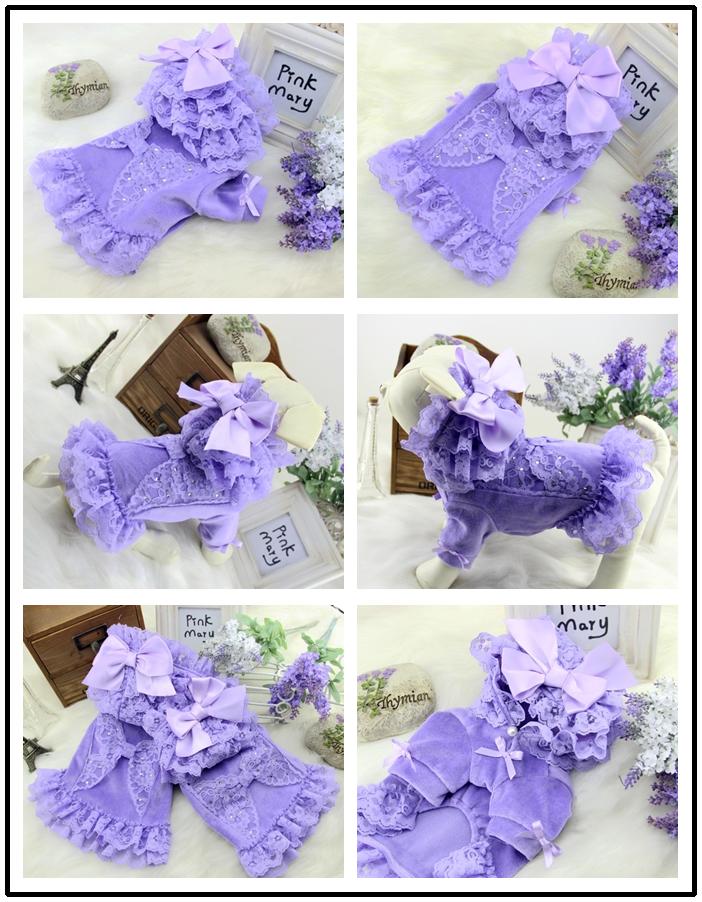 ��������䤢�����ץ�󥻥��ա����դ��פ�פꥳ���ȡ��������Ѣ��������� �ȥ��ס��ɥ� �ѥԥ�� ����� �衼���� �ղƿ��� �������� ���� �İ���