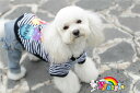 メール便 送料無料スマイルボ ーダーライン半袖Tシャツ☆トレーナー 小型犬用 セール トイプードル パピヨン チワワ ヨーキー 春夏新作 犬ウェア 犬服 可愛い