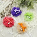 犬用ヘアピン クリップタイプ ヘアゴムとカラーBBクリップ プレゼント小型犬用♪セール トイプードル パピヨン チワワ ヨーキー ポメラニアン 犬アクセサリー ...