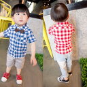 【メール便可】fs04gm【子供服　おすすめ】[女の子] 男の子　チェックのネルシャツ風　チェックTシャツ　チェックシャツ　チェックトップス　韓国子供服　女の子　チェックシャツ　子ども　チェックシャツ　半袖チェックシャツ　80　90　100　110　02P25Oct14