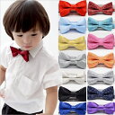 Kids ties[BAOBAO]【子供服】（kids）fs04gm