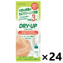 【送料無料】ドライアップ 本体 300mlx24本 サンスター(3)