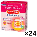【送料無料】めぐりズム 蒸気の温熱シート 下着の内側面に貼るタイプ 5枚入x24箱 花王(4)