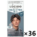 【送料無料】ルシード デザインヘアカラー クールアッシュ (医薬部外品)x36個 マンダム