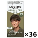 【送料無料】ルシード デザインヘアカラー マットアッシュ (医薬部外品)x36個 マンダム