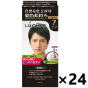 【送料無料】ルシード ワンプッシュケアカラー ナチュラルブラック (医薬部外品)x24個 マンダム