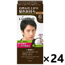 【送料無料】ルシード ワンプッシュケアカラー ダークブラウン (医薬部外品)x24個 マンダム