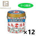 【送料無料】金鳥の渦巻 大型 12時間用 40巻（缶）×12缶 大日本除虫菊株式会社