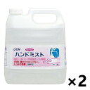 ＜業務用＞ サニテートA ハンドミスト 4Lx2個 手指消毒剤 ライオンハイジーン