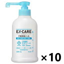 【送料無料】<業務用>EX-CARE 手指消毒ジェル 250mlx10本 花王プロフェッショナル