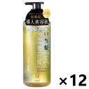 【送料無料】いち髪 THE PREMIUM エクストラダメージケアシャンプー (シャイニーモイスト) ポンプ 480mlx12本 クラシエ