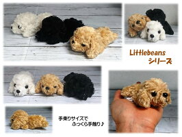 Littlebeansプードル