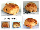 ムニュマム(XL) カピバラ(3)