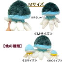 ブルージェリーフィッシュ(M)