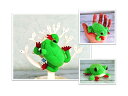 【Frog マグネット】 アカメアマガエル