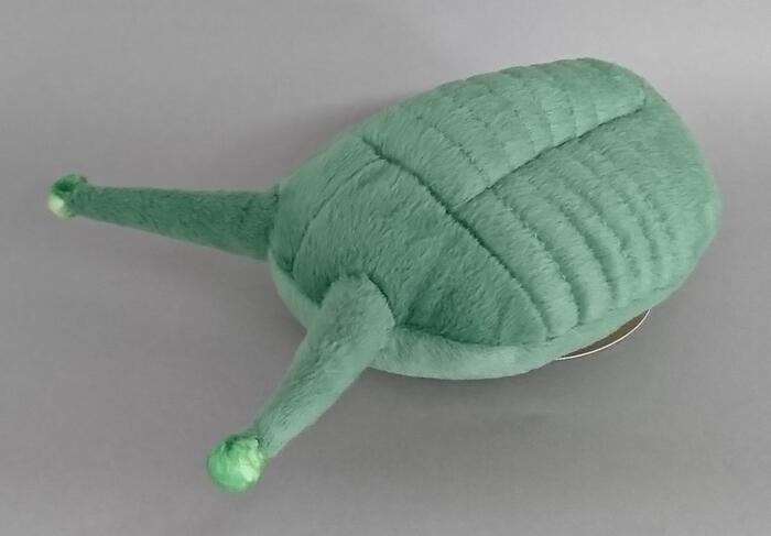 ネオアサフス・コワレフスキー