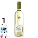 【送料無料※一部地域除く】 サンタ ヘレナ アルパカ ソーヴィニヨン ブラン 白ワイン 750ml 12本 1ケース