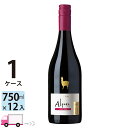  サンタ・ヘレナ・アルパカ・ピノ・ノワール 赤ワイン 750ml 12本 1ケース