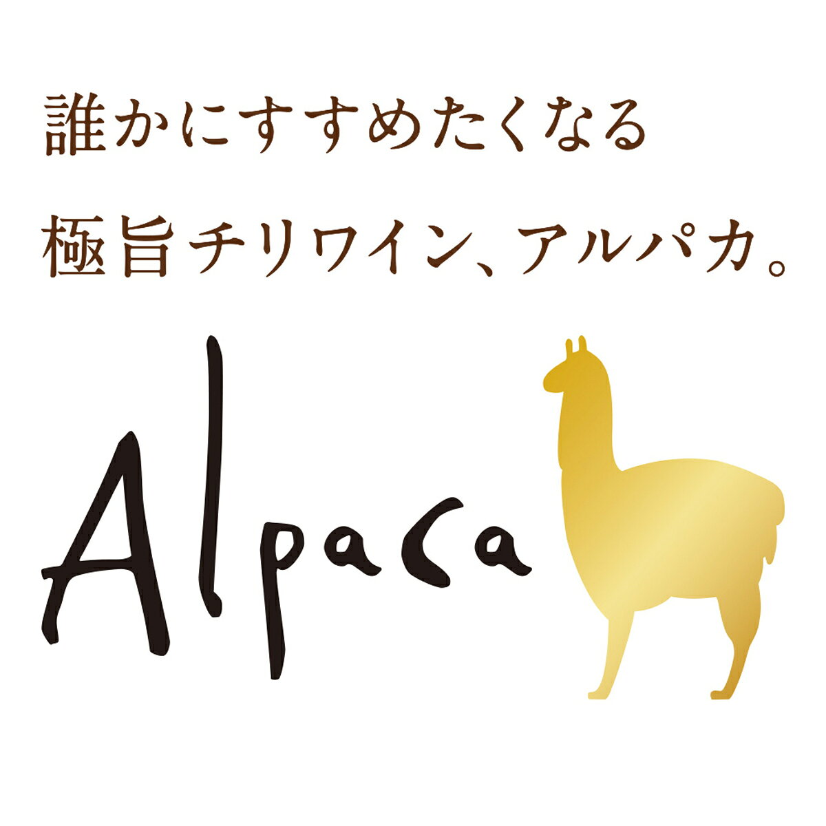 【送料無料※一部地域除く】 サンタ・ヘレナ・アルパカ・カベルネ・メルロー 赤ワイン 750ml 12本 1ケース yytakuhaibin-10000606 わいわい卓杯便 サンプル画像2