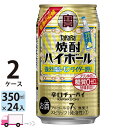  宝 タカラ 焼酎ハイボール 強烈塩レモンサイダー割り 350ml 48本 2ケース