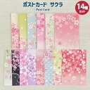 ポストカード サクラ14種セット はがき 絵はがき 私製はがき 雑貨 おしゃれ アート 誕生日 バレンタイン お祝い 手紙 文房具 ウェディング 結婚 母の日 ...