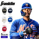 【6/5限定★最大300%Pバック】フランクリン プロテクター FRANKLIN HAND GUARD LT 大人 一般 ブラック 黒 ホワイト 白 23565...