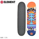 エレメント スケートボード ELEMENT アドニス コンプリート スケートボード 7.75 メンズ レディース ブラック 黒 オレンジ マルチ ADONIS COMPLETE SKATEBOARD 7.75 ALYXW00165 スケボー ボード スケート ストリート スポーツ【ラッピング対象外】