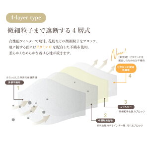 【50枚】血色マスク 立体マスク 空間マスク ビタミンC配合 5枚×10袋 レディース ベージュ イエロー グリーン 不織布 やや小さめ 3D立体空間 デザイン レース 花 ウイルス対策 花粉 カラー 使い捨て 夏用 大人用 子供用 使い捨て 小顔 耳が痛くならない|slz|