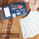 【店内全品★P5倍！】【300枚】日本製マスク 三重県産 不織布マスク 30枚×10箱 個包装 箱入り メンズ レディース ふつ…