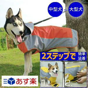 犬用レインコート｜背中開きなどの着せやすい雨合羽のおすすめは？