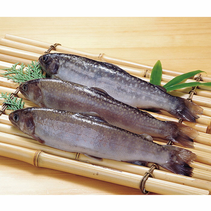 冷凍岩魚 1kg 岐阜県産大容量 まとめ買い 魚介類 海鮮 調理具材 料理材料 家庭用 業務用 [店舗にもお勧め] [食卓にもお勧め] [冷凍食品]