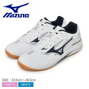 【処分クーポンで10%OFF】ミズノ 卓球シューズ メンズ レディース ウエーブドライブ 9 MIZUNO 81GA2205 スニーカー 靴 シューズ スポーツ...